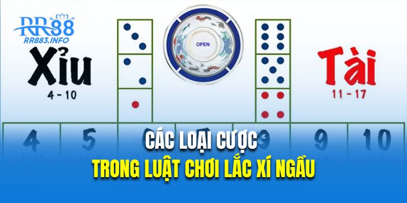 Các loại cược trong luật chơi lắc xí ngầu