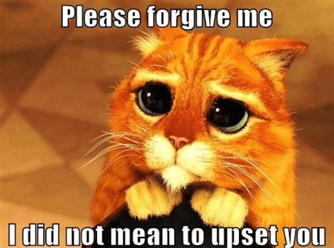 Forgive Us All 2025